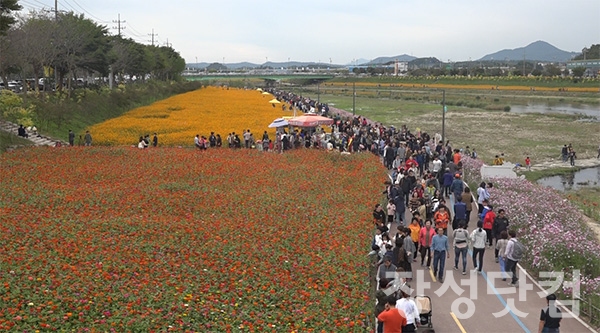 '장성 황룡강 가을꽃축제' 3년만에...10월 8일 개막 '장성 황룡강 가을꽃축제' 3년만에...10월 8일 개막